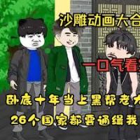 �ڰ���гɳ���