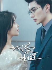 ��˼�������