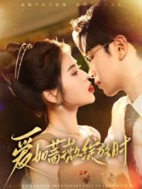 ����Ǿޱ����ʱ