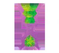 �������ޱ� ����vs������20250808