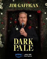 吉姆·加菲根:暗淡