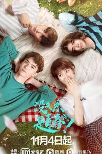 û��ϵ�����ഺ����