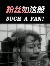 ��˿�����