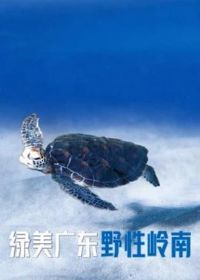 �����㶫��Ұ������