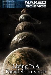 ������ƽ������