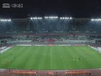 �м����� ���ݶ���VS�Ϻ��ζ����� 20250427