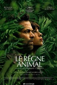 ����֢��Ⱥ��Ӱ�ӽ�˵��