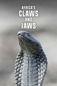 ���޶��������������һ��